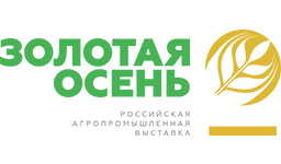 Золотая осень